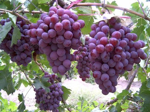 如何把握食品安全關(guān)、讀懂營養(yǎng)成分表？