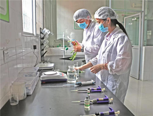 食品安全檢測儀，食品快檢行業的必備儀器