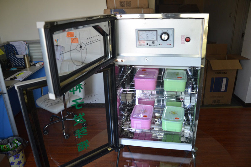 牡丹發芽難？試試種子發芽箱！