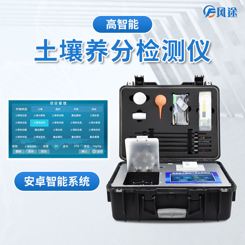 什么是磷循環？