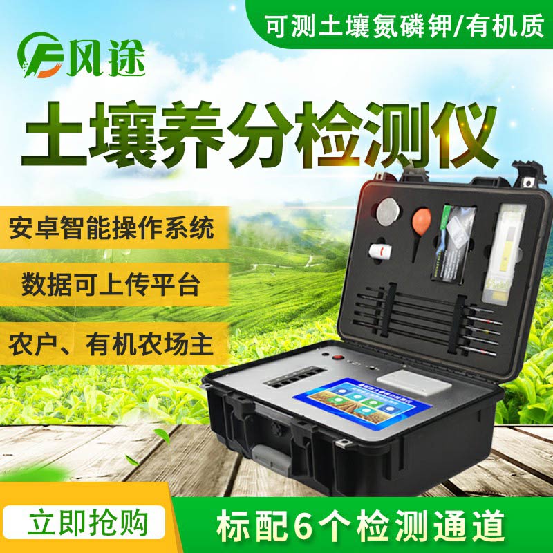 大棚移栽定植，要做好土壤養分的補充